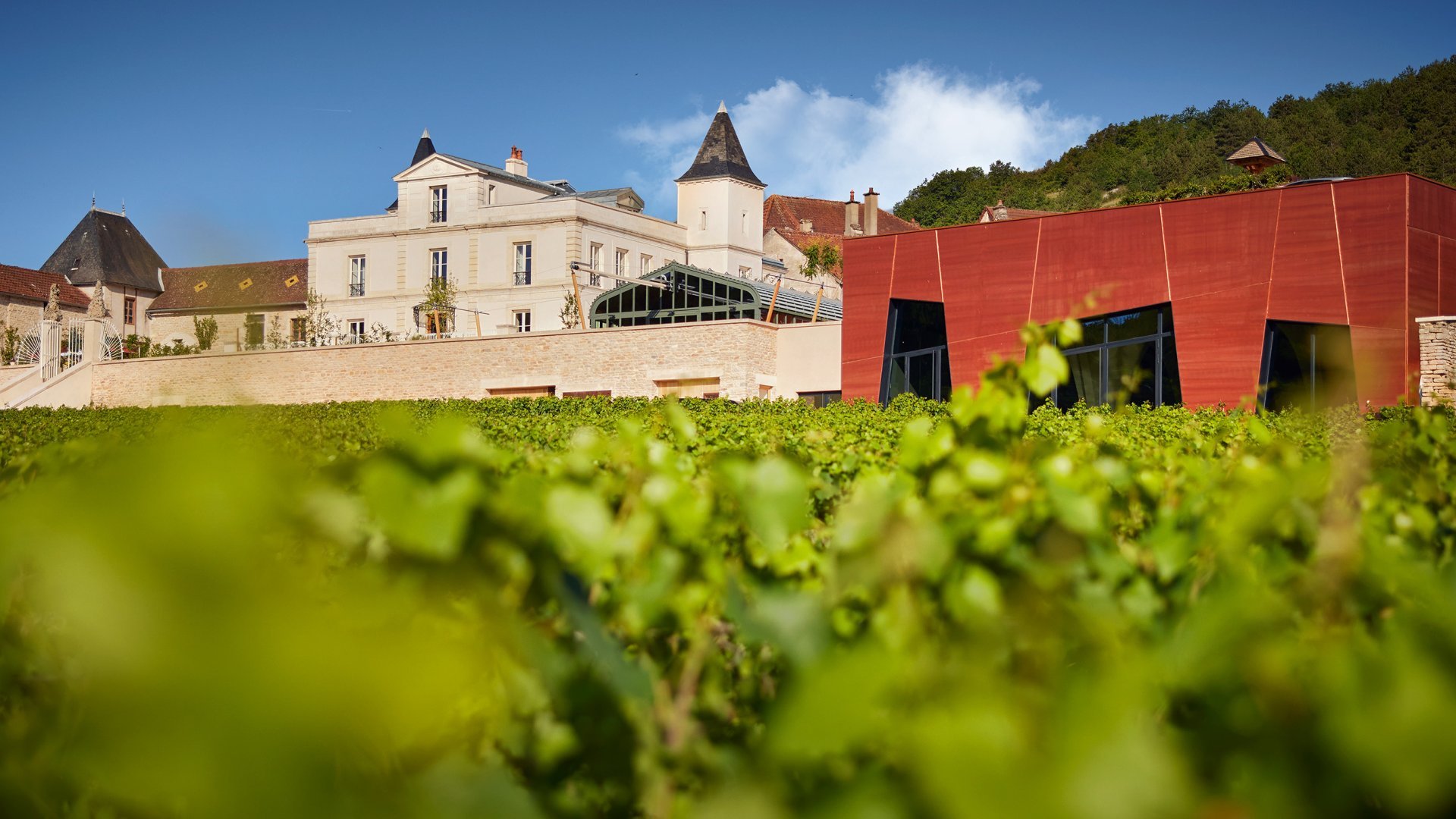 vue sur le chateau depuis les vignes du clos